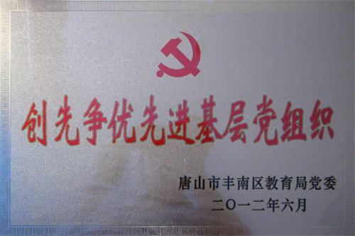 丰南区创先争优先进基层党组织