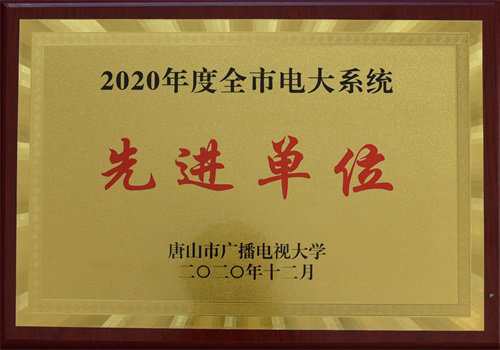 市电大系统先进单位
